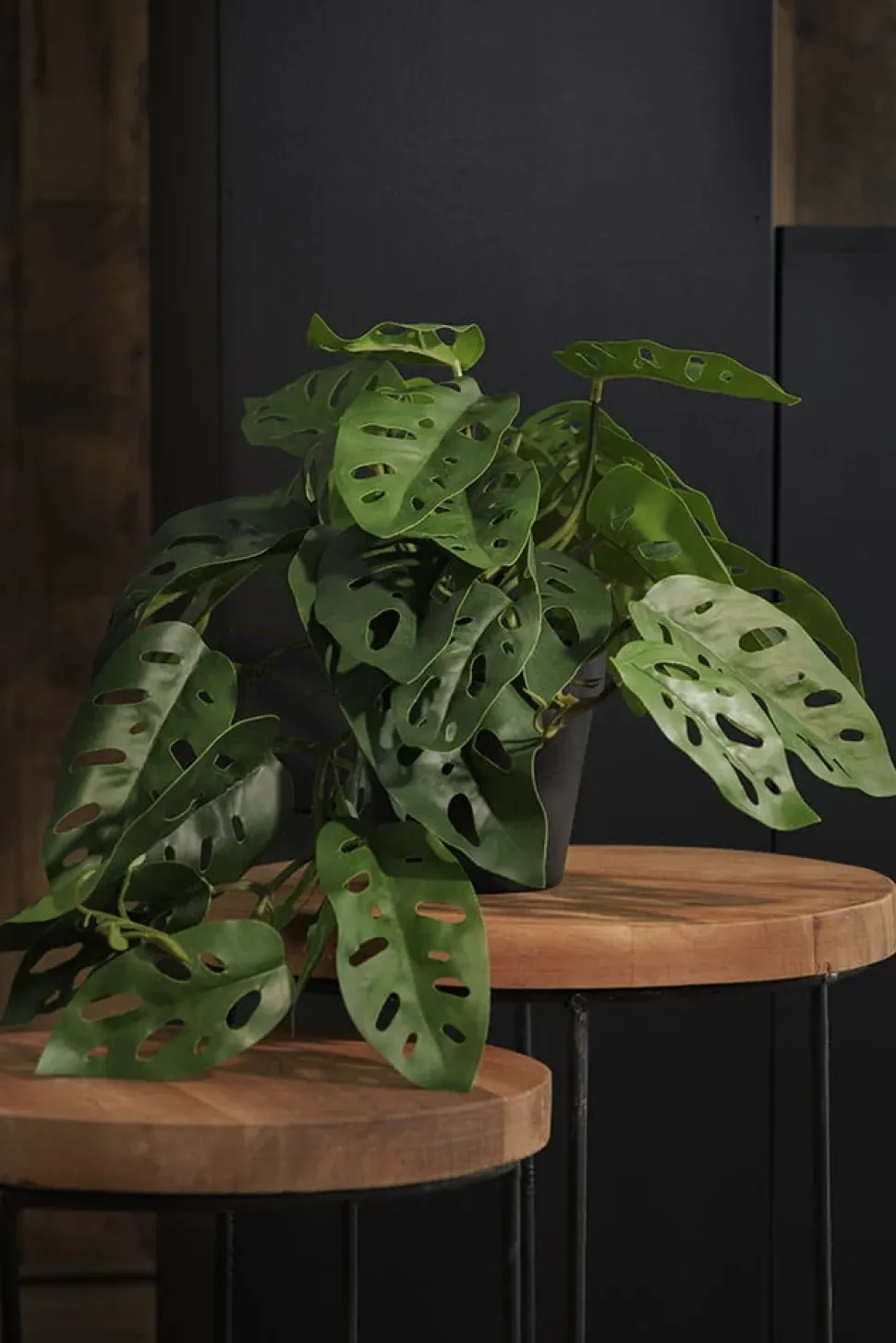 Plant de monstera retombant artificiel en pot, 9 x 15,5″