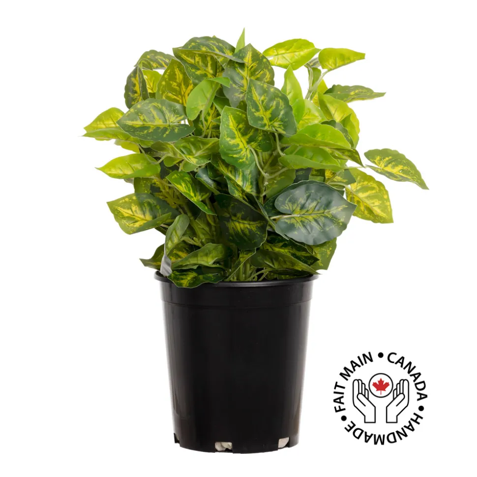 Plant de nephthytis artificiel en pot, 15 x 12″