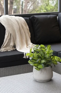 Plant de nephthytis artificiel en pot, 15 x 12″