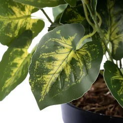 Plant de nephthytis artificiel en pot, 15 x 12″