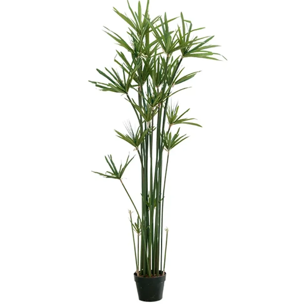 Plant de papyrus artificiel, 60″