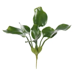 Plante aquatique, 18″