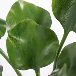 Plante aquatique, 18″