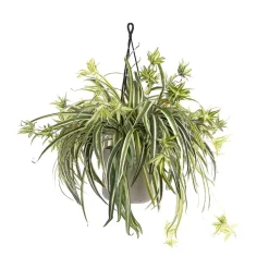 Plante araignée artificielle en pot suspendu, 30 x 22″