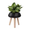Plante artificielle aglaonéma en pot sur pied, 20 x 12″