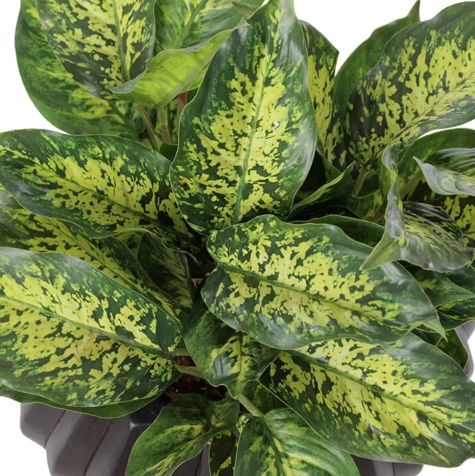 Plante artificielle aglaonéma en pot sur pied, 20 x 12″