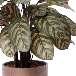 Plante artificielle calathéa bourgogne en pot, 30 x 22″