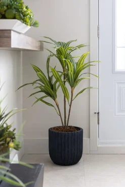 Plante artificielle cordyline à trois troncs, 39″