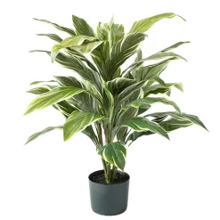 Plante artificielle cordyline, 36,5″