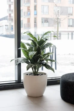 Plante artificielle cordyline, 36,5″