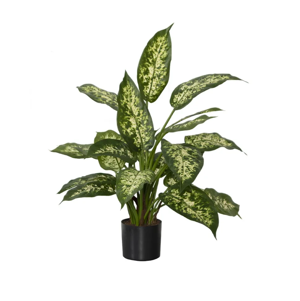 Plante artificielle de dieffenbachia, 19″