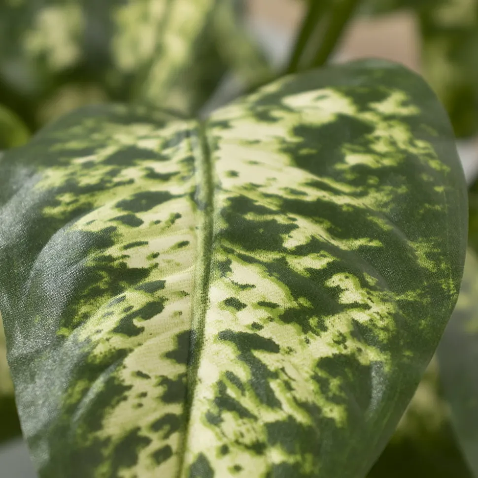 Plante artificielle de dieffenbachia, 19″