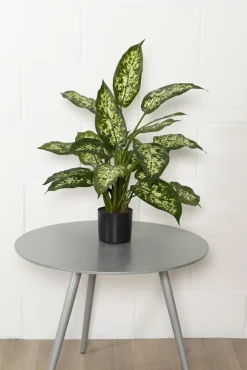 Plante artificielle de dieffenbachia, 19″