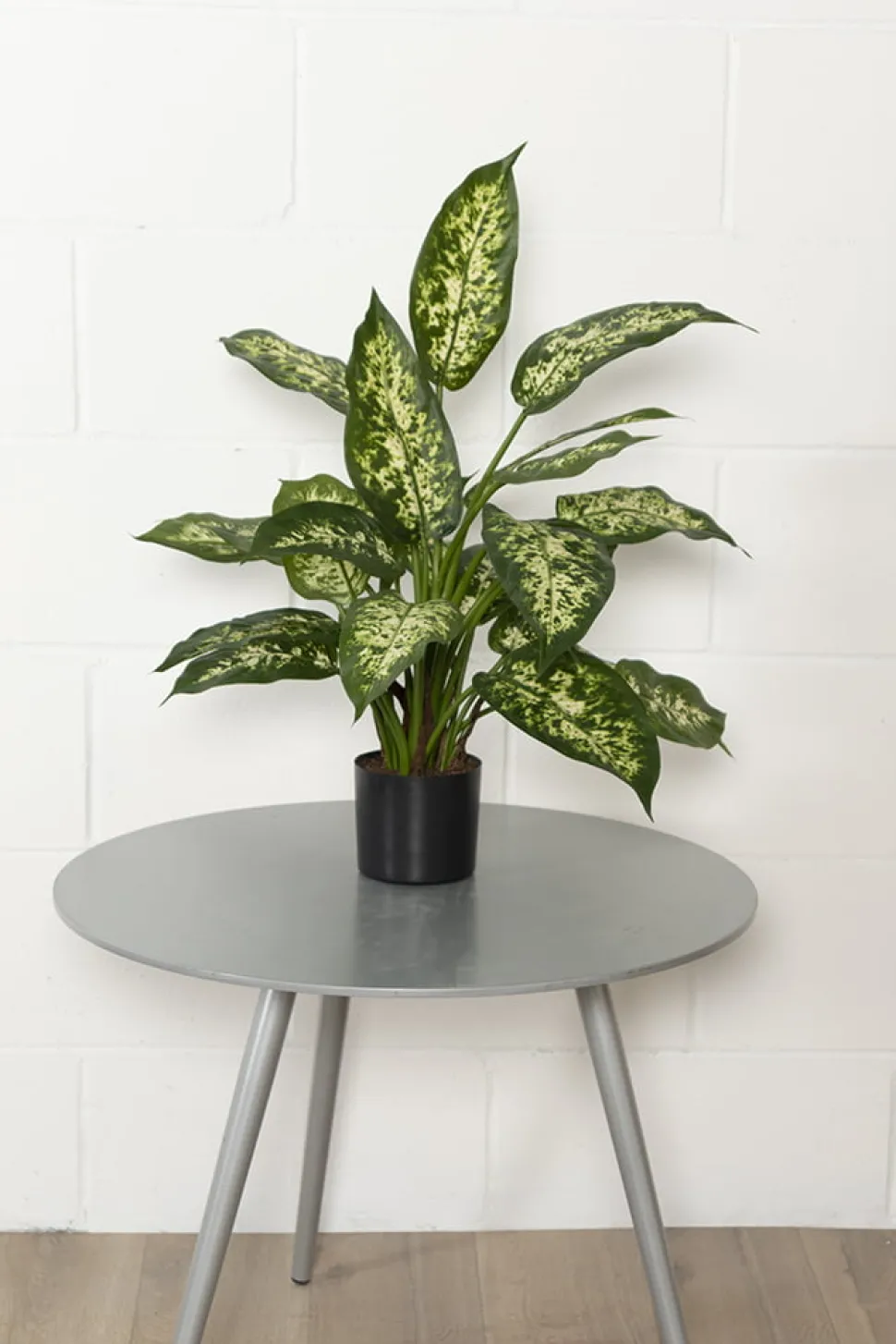 Plante artificielle de dieffenbachia, 19″