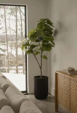 Plante artificielle de ficus rumphii, 72″