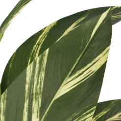 Plante artificielle d’alpinia vittata, 86″