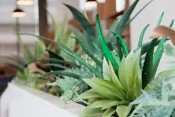 Plante artificielle d’aloès, 18″