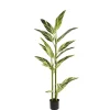 Plante artificielle d&rsquo;alpinia vittata, 63&Prime;