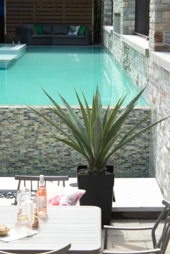 Plante artificielle extérieure, agave américana, 53″