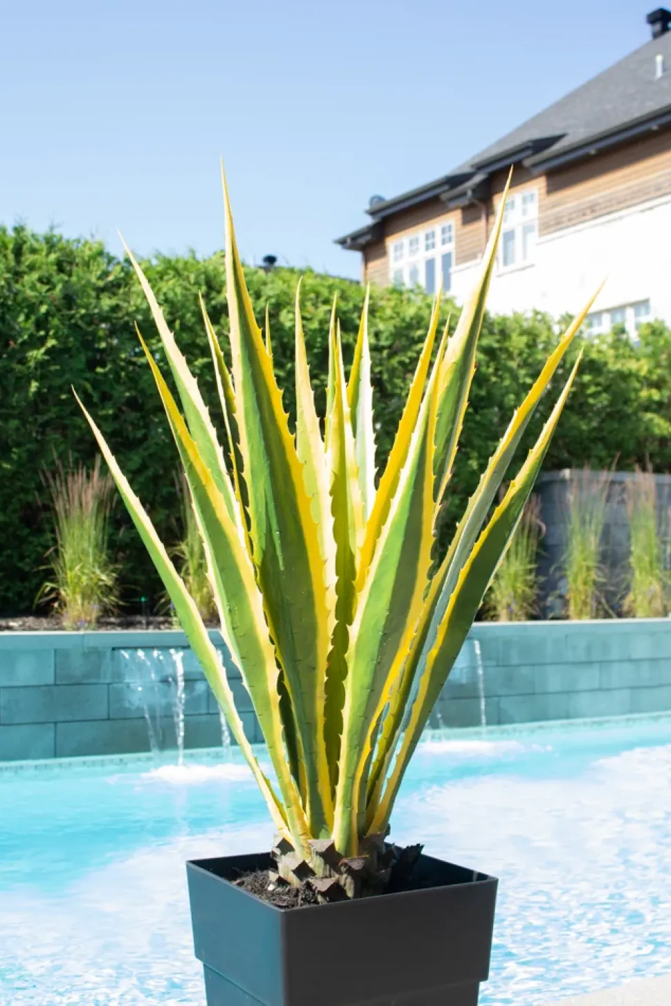 Plante artificielle extérieure, agave jaune, 45″