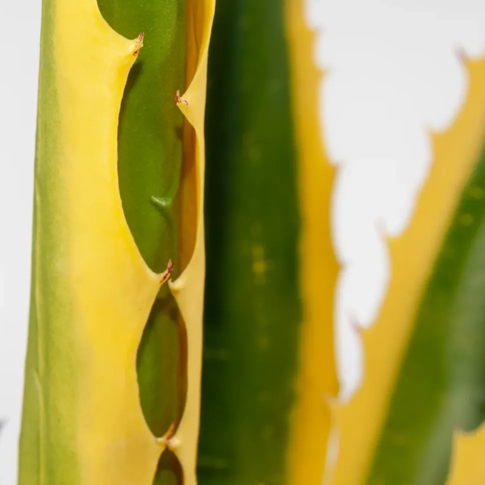 Plante artificielle extérieure, agave jaune, 45″