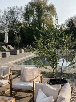 Plante artificielle extérieure, olivier, 79″