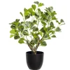 Plante artificielle figuier panaché, 16″