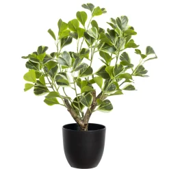 Plante artificielle figuier panaché, 16″
