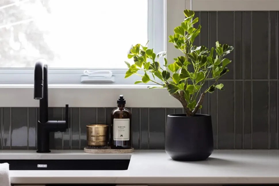 Plante artificielle figuier panaché, 16″