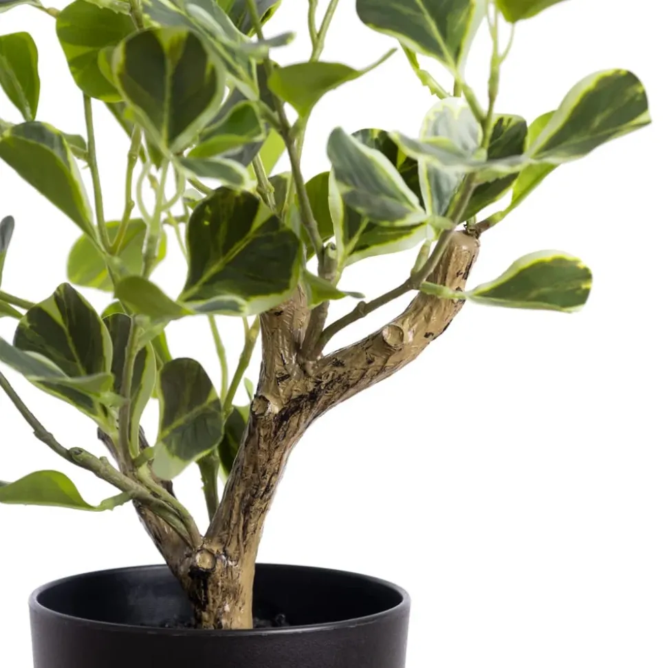 Plante artificielle figuier panaché, 16″