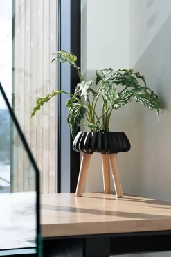 Plante artificielle maranta en pot sur pied, 28 x 22″