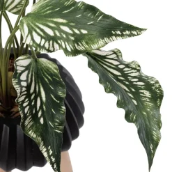 Plante artificielle maranta en pot sur pied, 28 x 22″