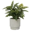 Plante artificielle monstera en pot, 26 x 22″