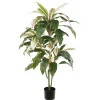 Plante cordyline verte et crème, 55″