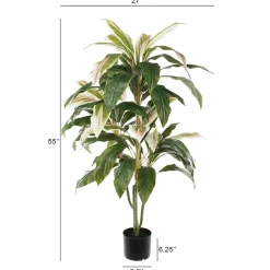 Plante cordyline verte et crème, 55″
