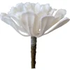 Plante grasse blanche artificielle, 6″