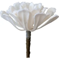 Plante grasse blanche artificielle, 6″