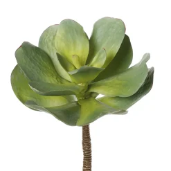 Plante grasse echeveria artificielle, 13″