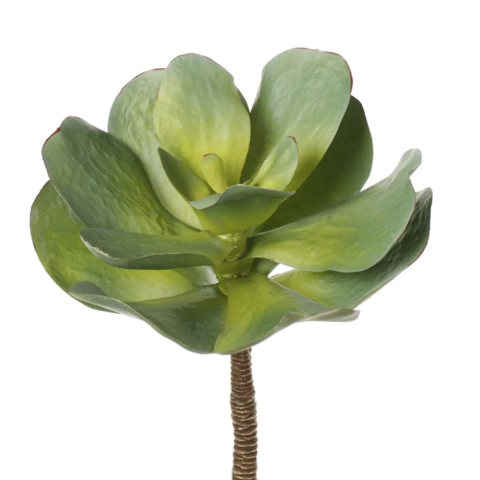 Plante grasse echeveria artificielle, 13″