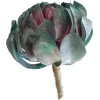 Plante grasse mauve 6″