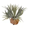Plante staghorn artificielle, 13&Prime;