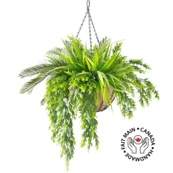 Plante suspendue extérieure de cycas et verdure, 32 x 26″