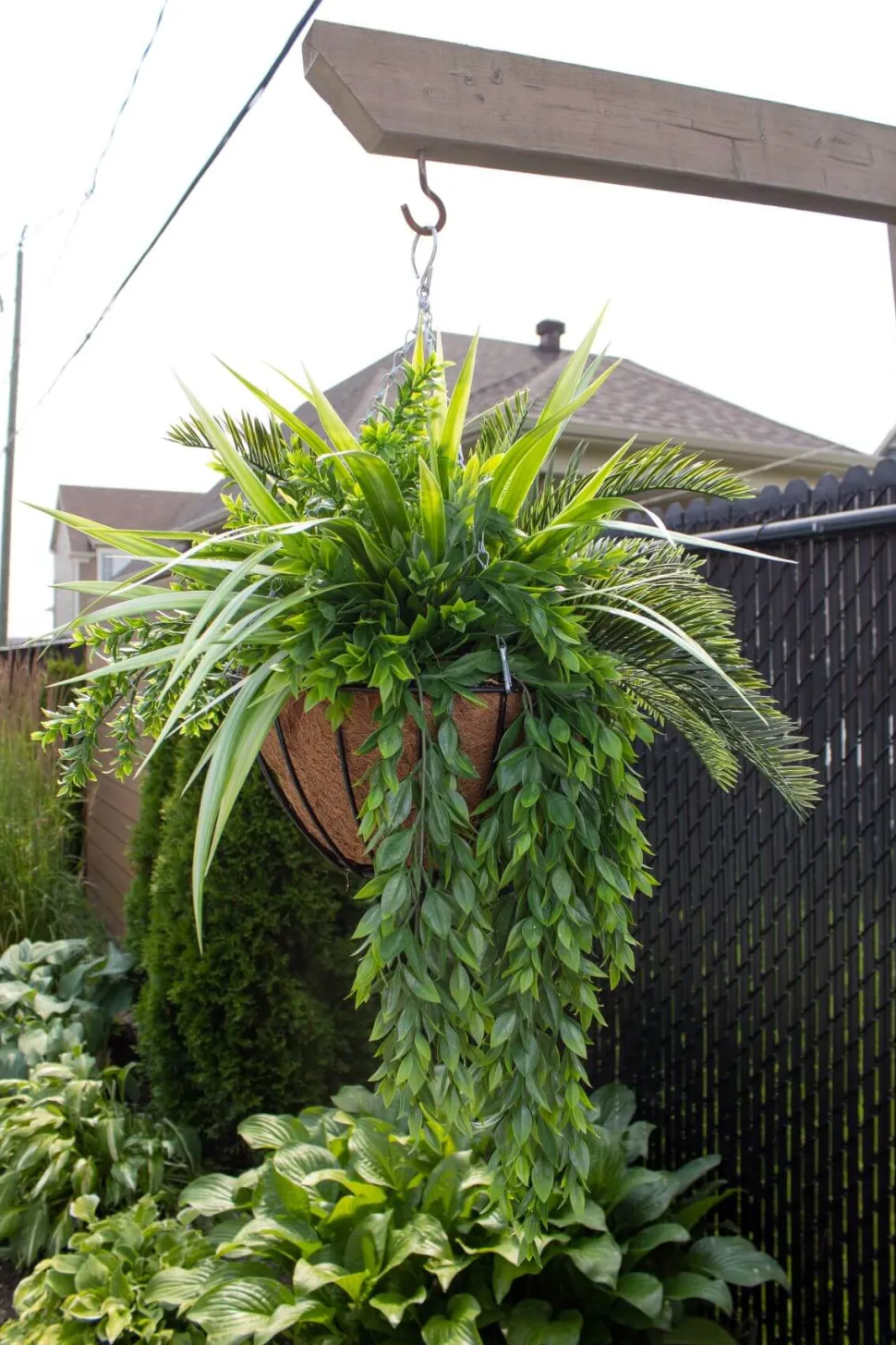 Plante suspendue extérieure de cycas et verdure, 32 x 26″