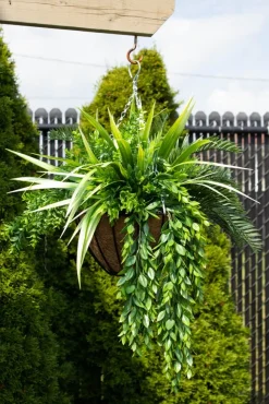 Plante suspendue extérieure de cycas et verdure, 32 x 26″