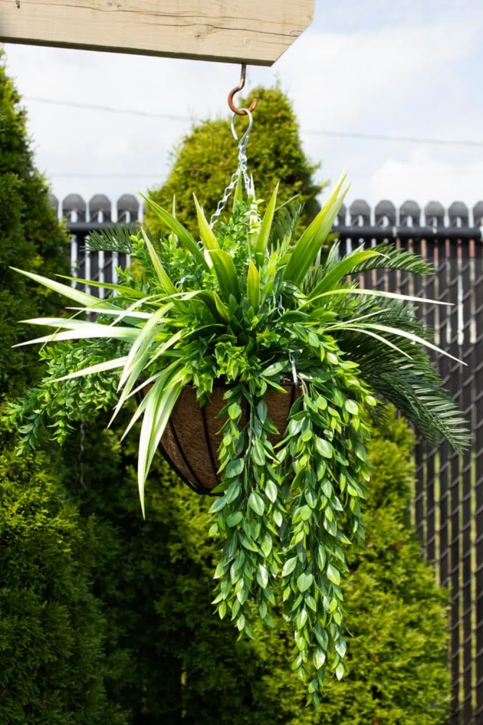 Plante suspendue extérieure de cycas et verdure, 32 x 26″