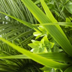 Plante suspendue extérieure de cycas et verdure, 32 x 26″