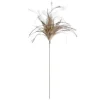 Plumes brunes sur tige, 21,5″