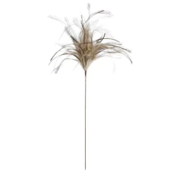 Plumes brunes sur tige, 21,5″
