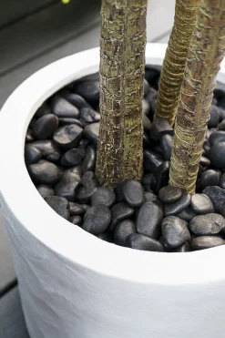 Polished black pebbles 20-40mm, 10kg