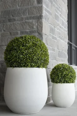 Porous finish white pot